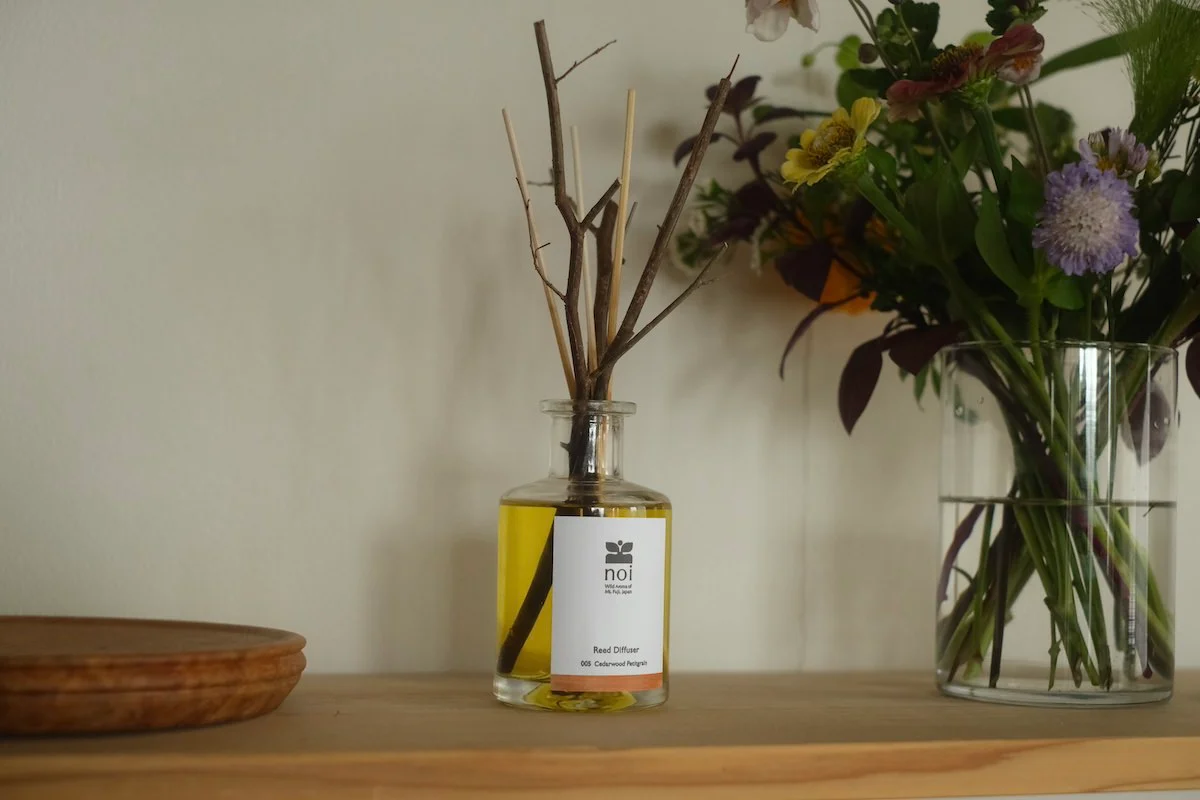 How to Eliminate Stubborn Household Smells for Good